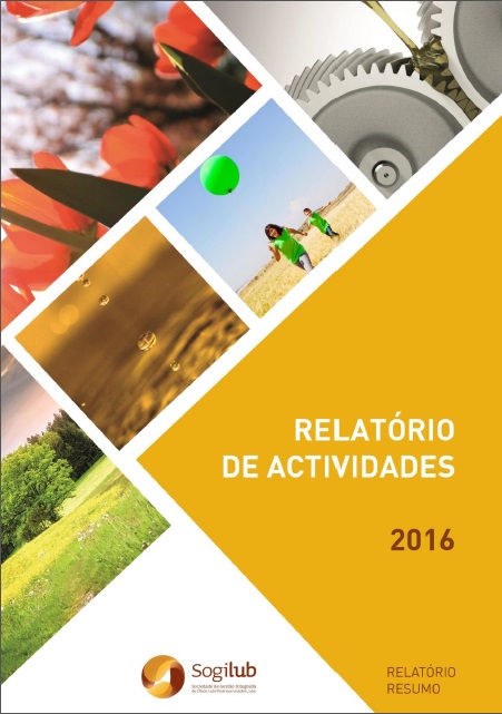 relatorio 2016