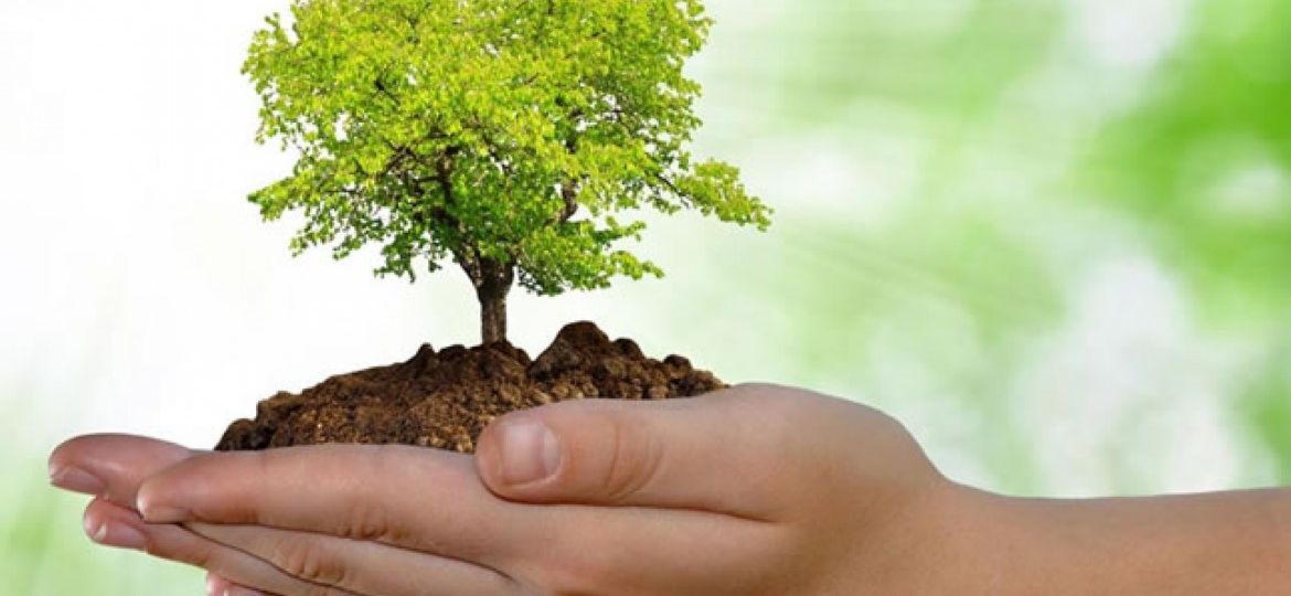 enviroment5