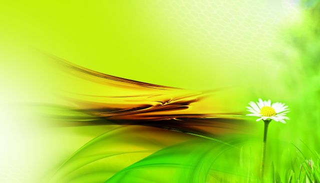 Capa_Produtores