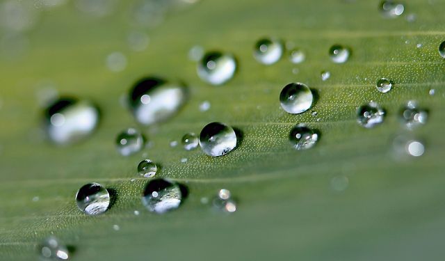 drops-936779_1920