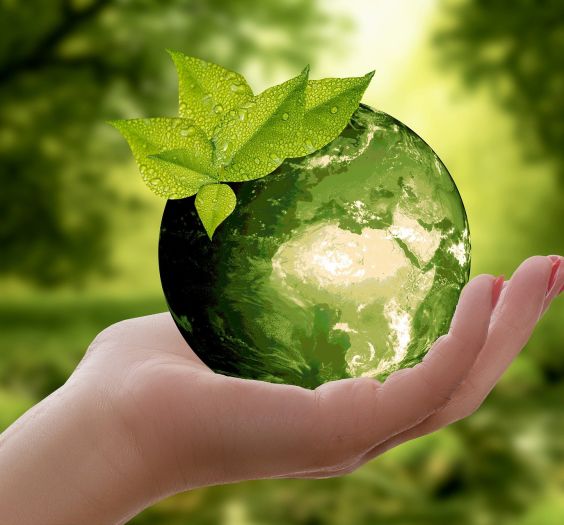 nature-g607928357_1920